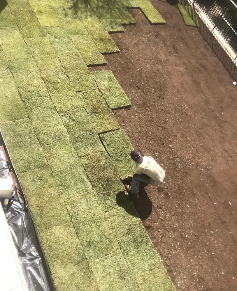 Local landscape installation in Ellenwood, GA by Jackson 360 Landscape
