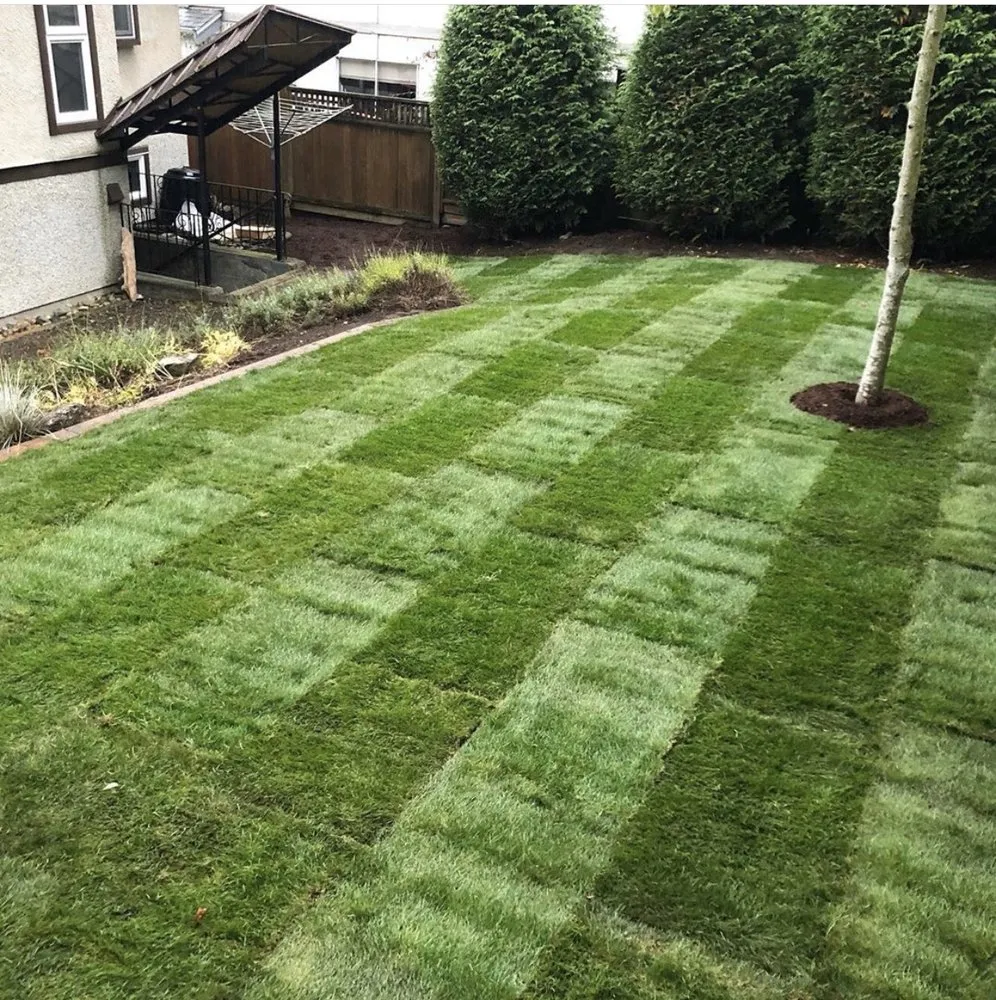 Affordable lawn mowing service experts serving Ellenwood, GA - Jackson 360 Landscape