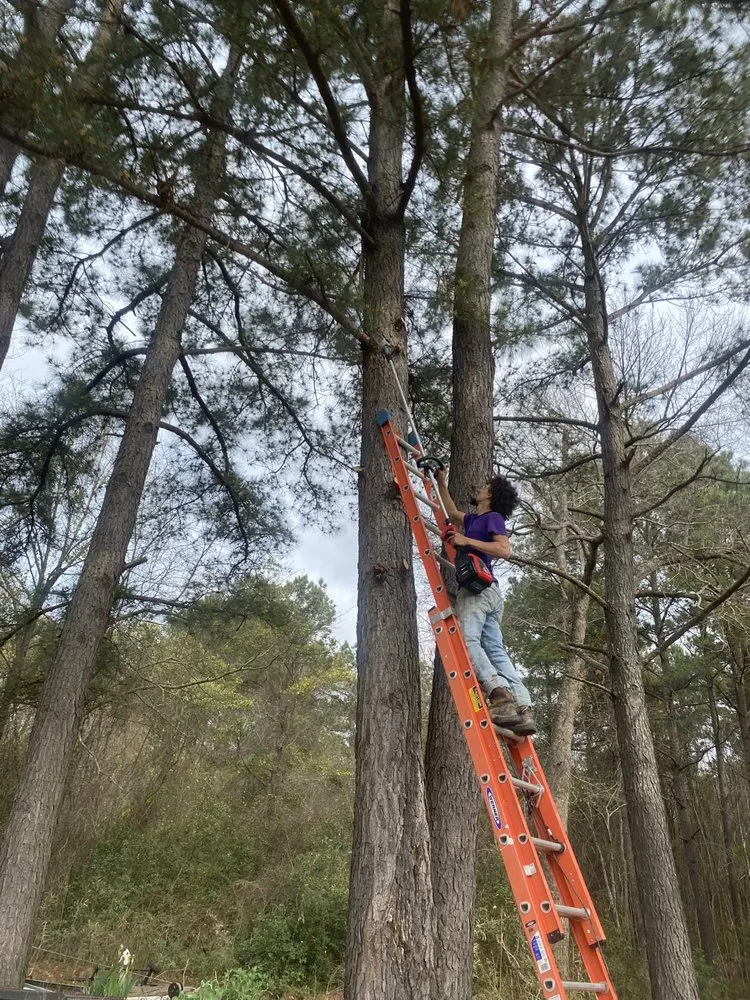 Expert lawn mowing service for homes across Lumberton, NC - Jackson and Son Lawncare and Landscaping