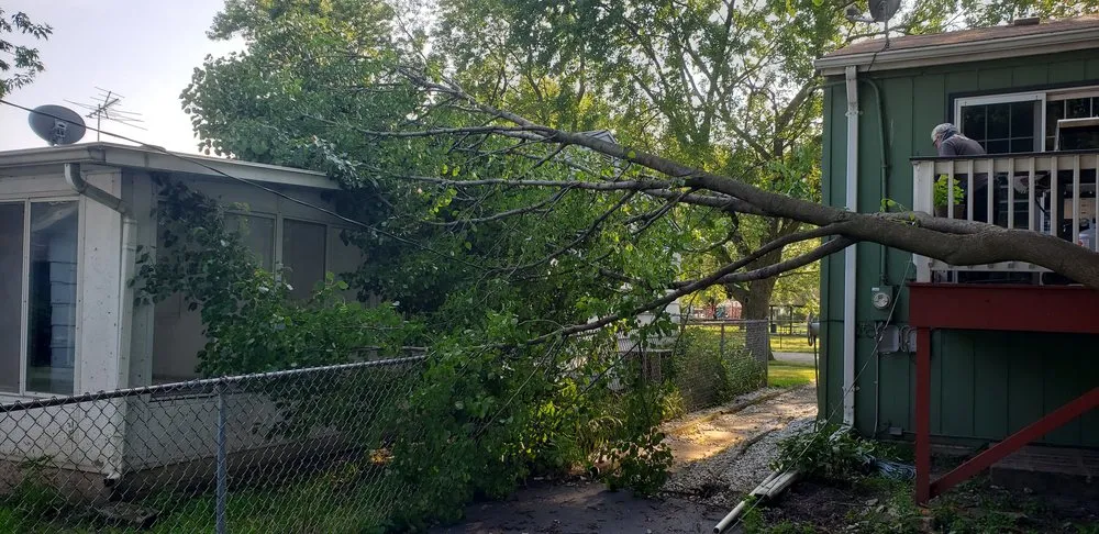 Trusted garden landscaping in Posen, IL by Jackson Arbor & Outdoor Services