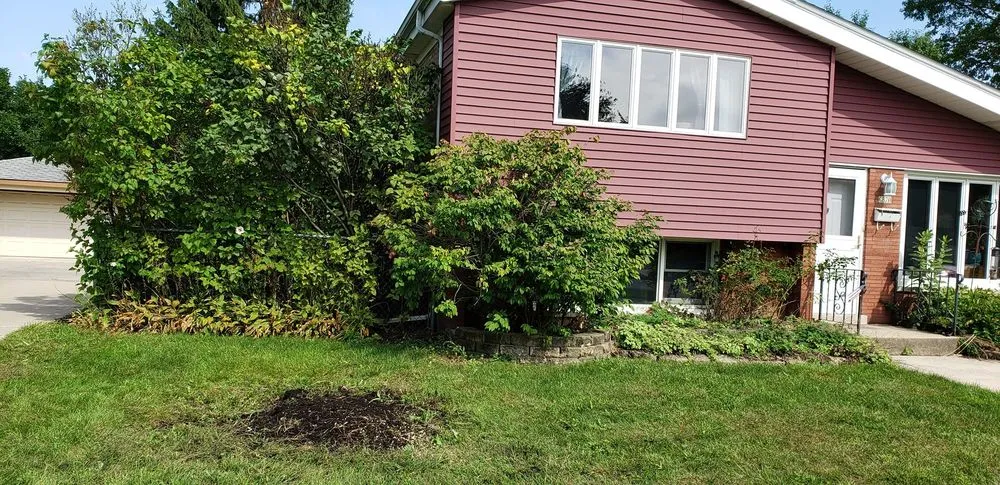 Expert landscape installation experts serving Posen, IL - Jackson Arbor & Outdoor Services