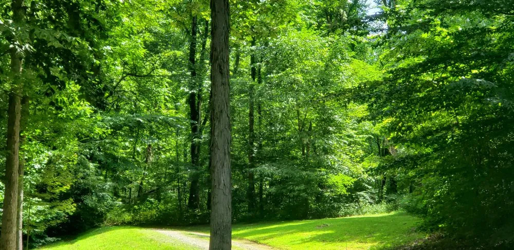 Trusted garden landscaping for outdoor upgrades across Posen, IL - Jackson Arbor & Outdoor Services