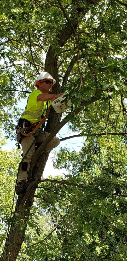 Custom garden landscaping with custom design in Posen, IL by Jackson Arbor & Outdoor Services