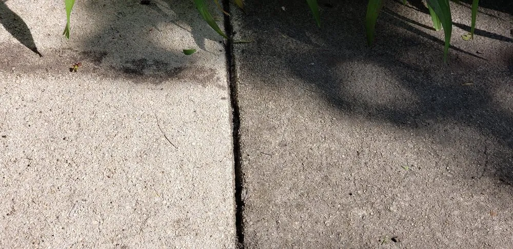 Affordable yard maintenance in Posen, IL - Jackson Arbor & Outdoor Services