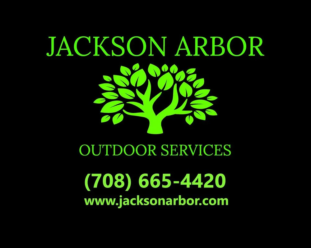 Affordable landscaping services for outdoor upgrades in Posen, IL by Jackson Arbor & Outdoor Services