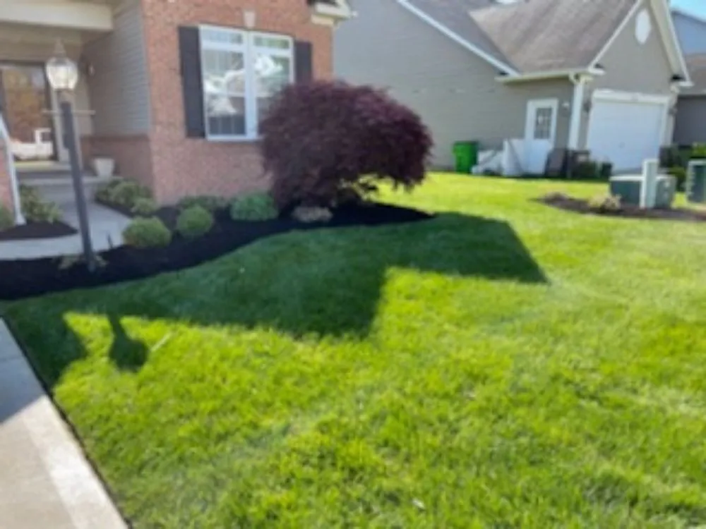 Local landscape design for outdoor upgrades across Cleveland, OH - Jackson Coley Landscaping