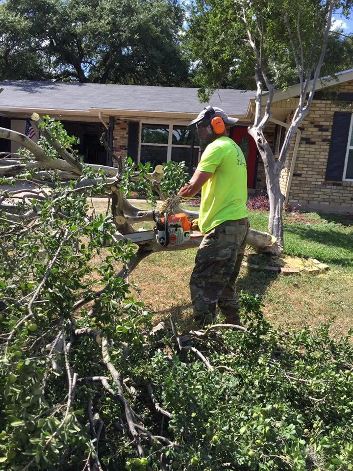 Reliable yard cleanup service experts serving Cibolo, TX - Jackson Executive Lawn Care