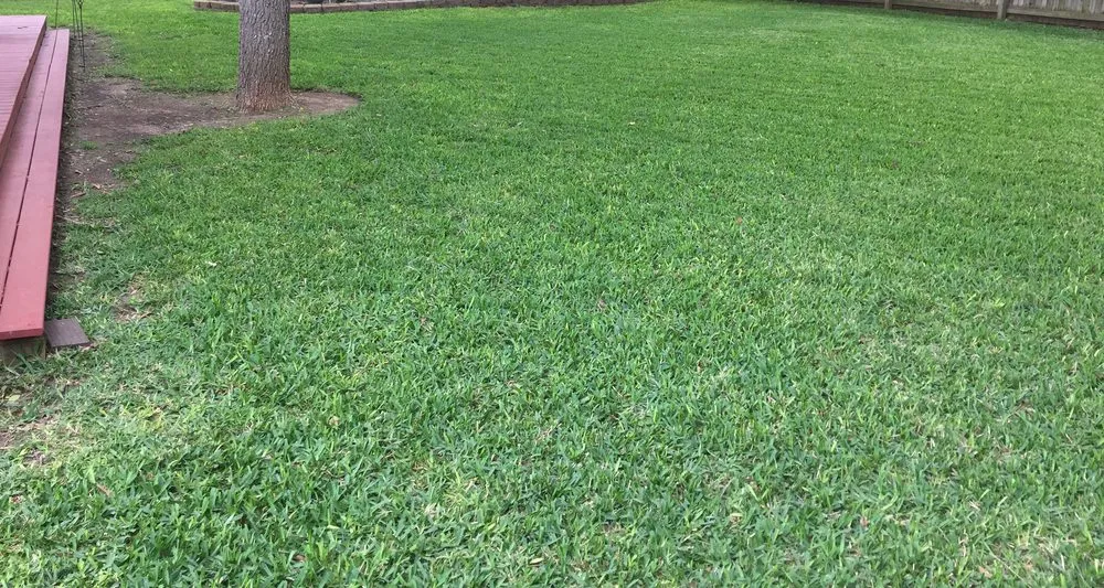 Expert garden landscaping for residential properties in Cibolo, TX by Jackson Executive Lawn Care