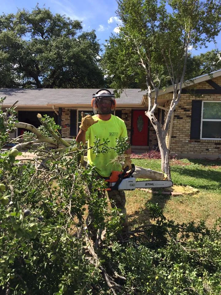 Professional lawn mowing service in Cibolo, TX - Jackson Executive Lawn Care