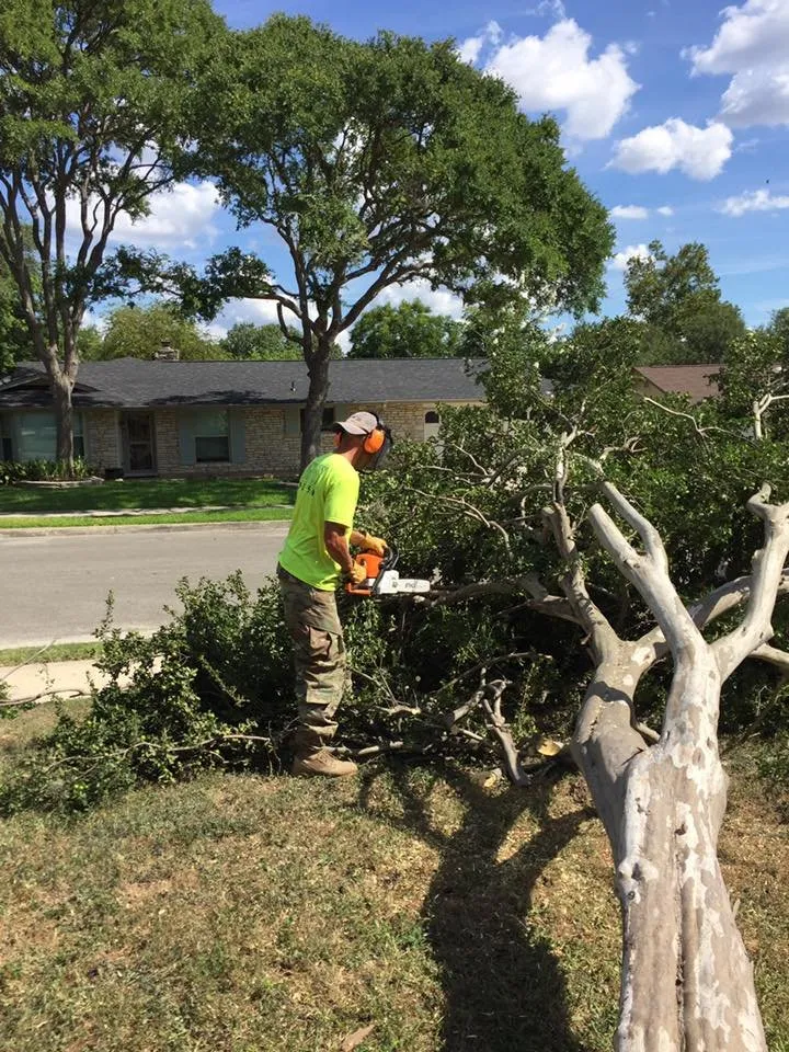 Local lawn mowing service in Cibolo, TX - Jackson Executive Lawn Care