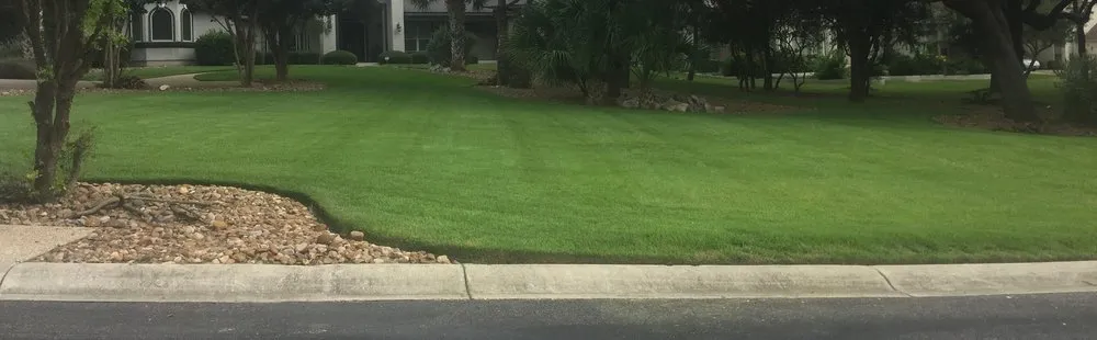 Professional yard cleanup service experts serving Cibolo, TX - Jackson Executive Lawn Care