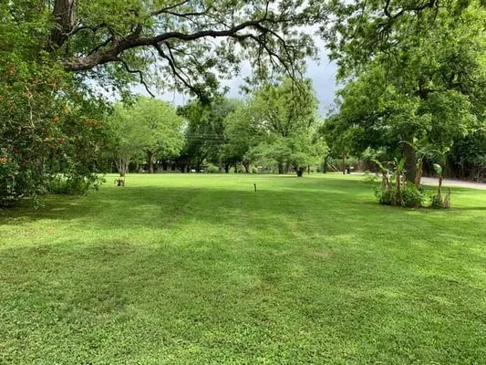 Jackson Executive Lawn Care Logo