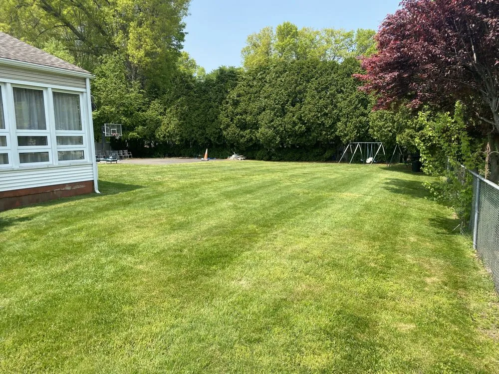 Top-rated yard cleanup service in New Britain, CT by Jackson Family Lawn Care
