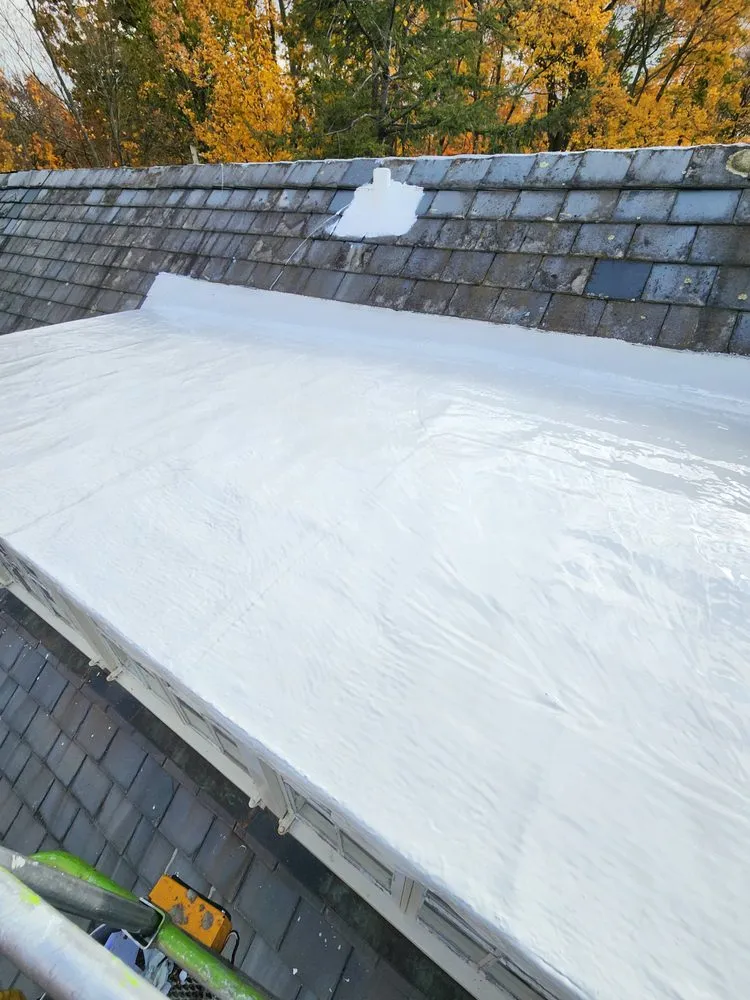 Custom yard cleanup service experts serving Holland, NY - Jackson Homecare