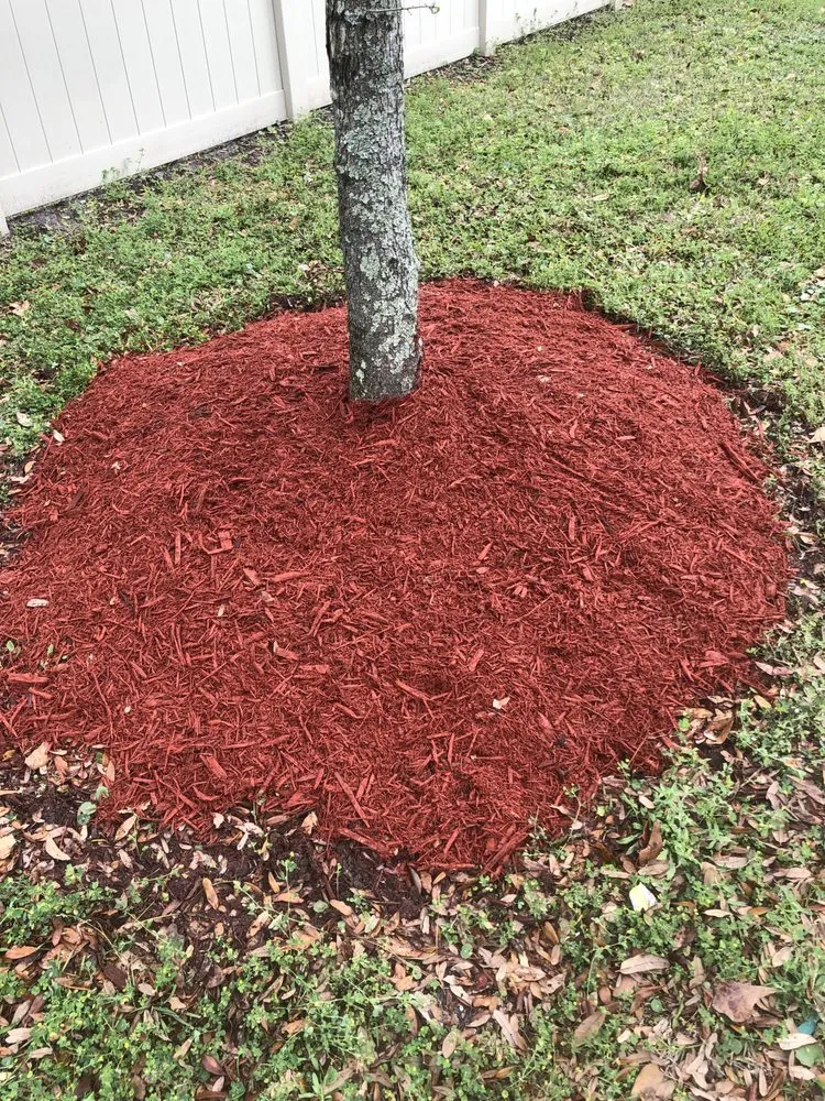 Trusted garden landscaping for year-round maintenance across Jacksonville, FL - Jackson