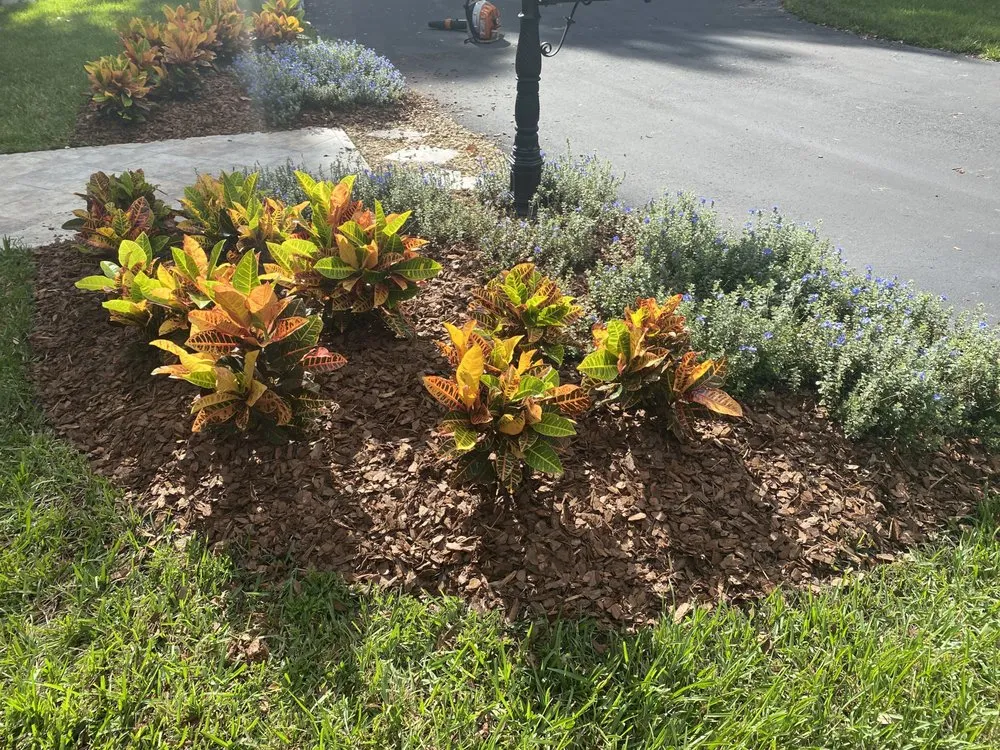 Top-rated lawn mowing service in Jacksonville, FL - Jackson