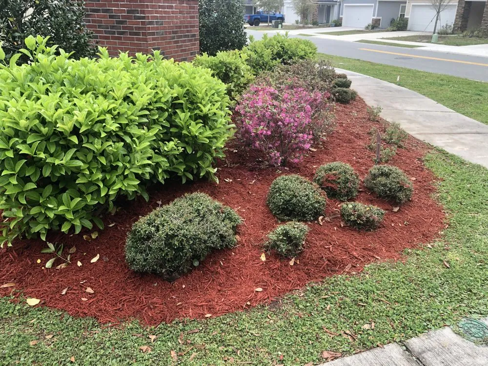 Expert yard cleanup service in Jacksonville, FL by Jackson