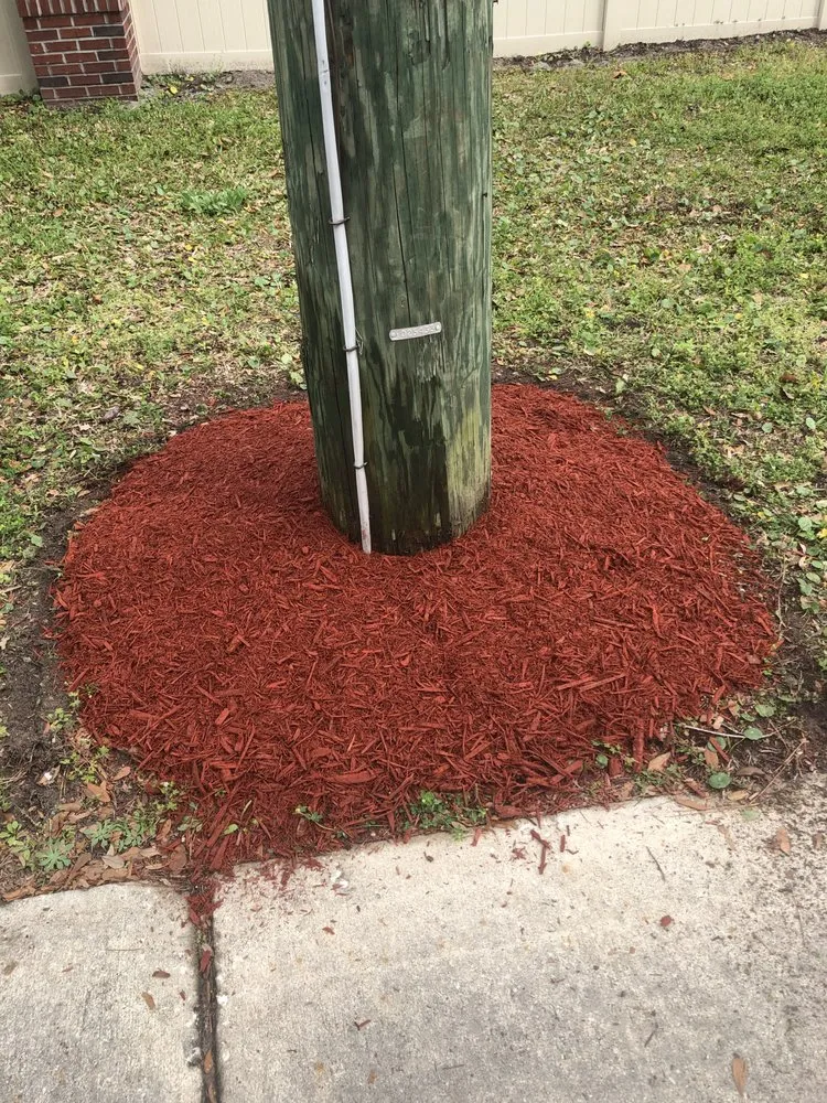 Trusted yard maintenance in Jacksonville, FL - Jackson