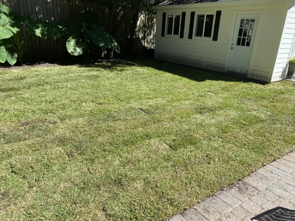 Local garden landscaping in Jacksonville, FL by Jackson