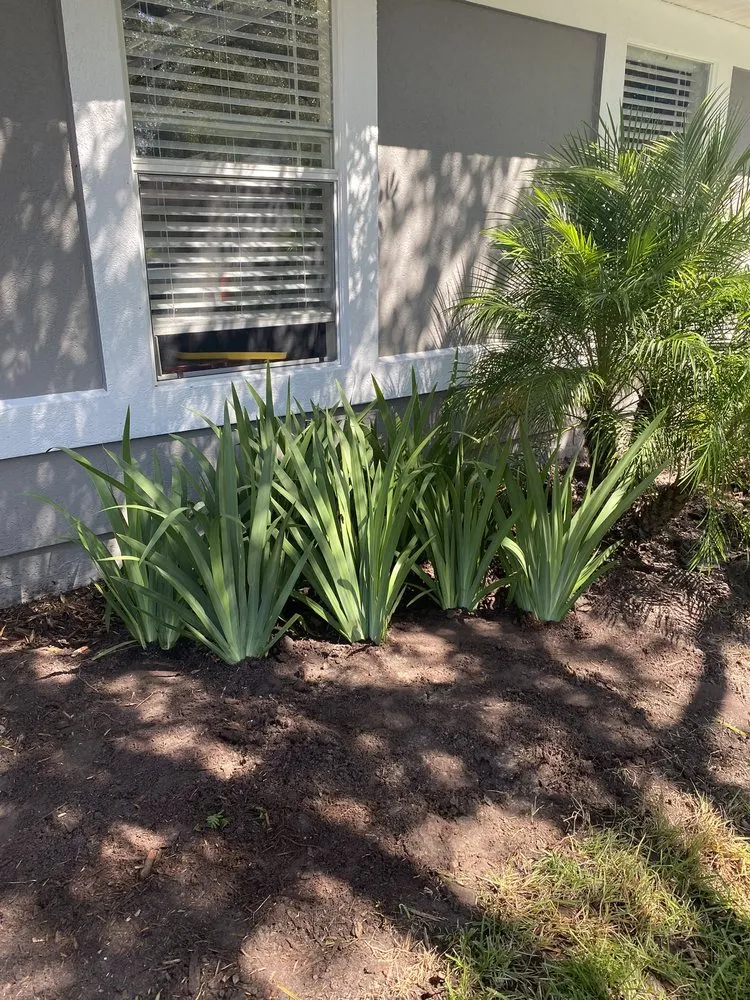 Affordable garden landscaping with custom design in Jacksonville, FL by Jackson