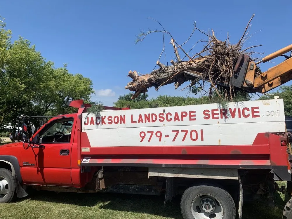 Expert yard maintenance experts serving Byron, IL - Jackson Landscape Services