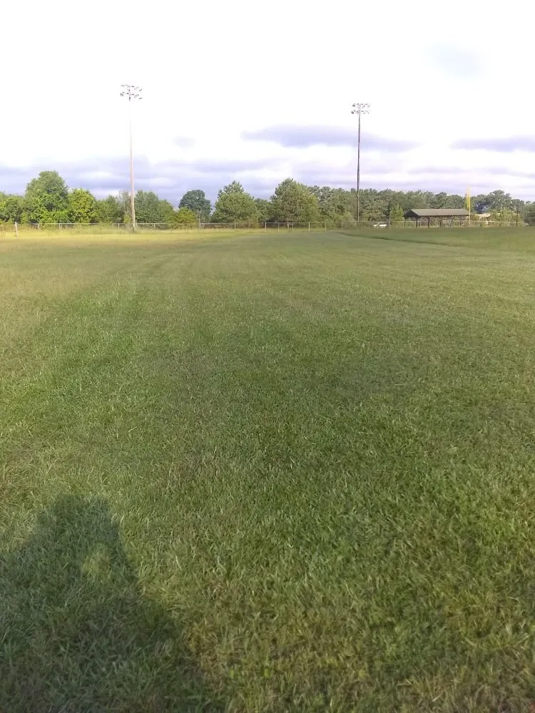 Professional lawn mowing service for homes across Childersburg, AL - Jackson Landscaping