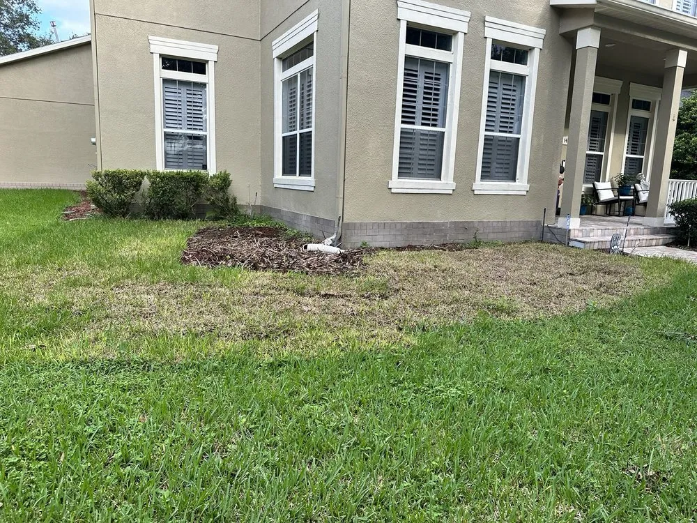 Top-rated landscape installation for residential properties across Clermont, FL - Jackson Landscaping