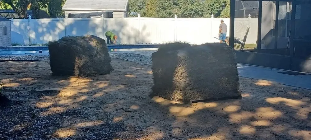 Trusted lawn mowing service experts serving Clermont, FL - Jackson Landscaping