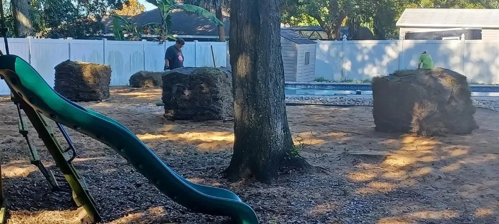 Expert outdoor landscaping experts serving Clermont, FL - Jackson Landscaping