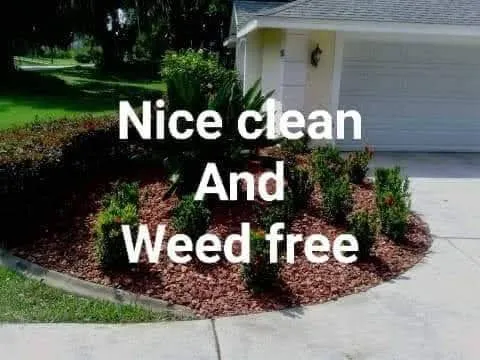 Professional yard cleanup service near you across Clermont, FL - Jackson Landscaping