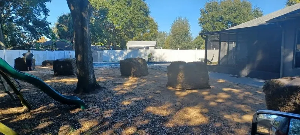 Affordable residential landscaping for year-round maintenance in Clermont, FL by Jackson Landscaping