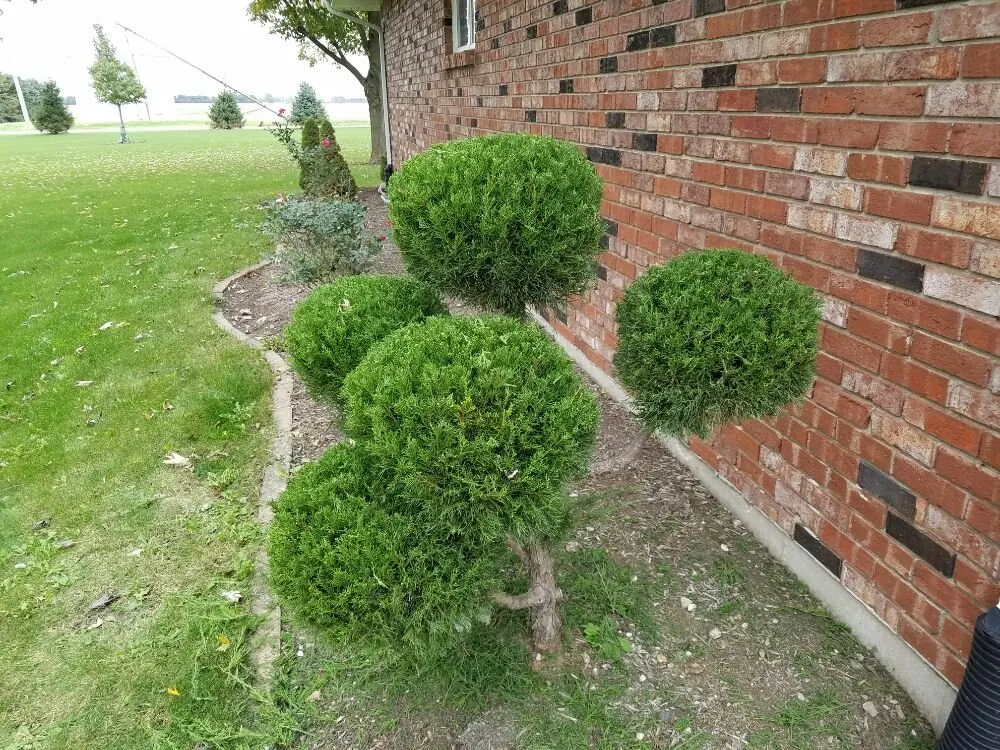 Custom lawn mowing service in Wilmington, IL by Jackson Landscaping