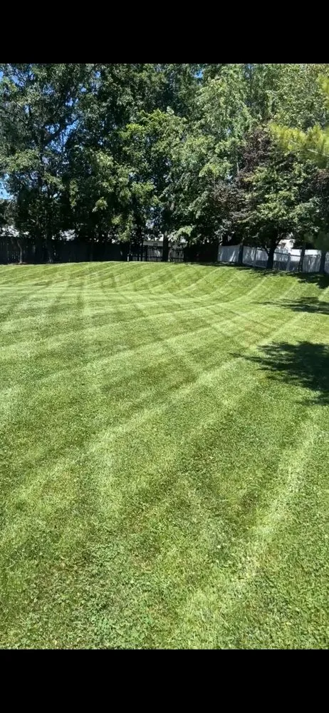 Expert landscaping services in Saint Peters, MO by Jackson Lawn and Landscape