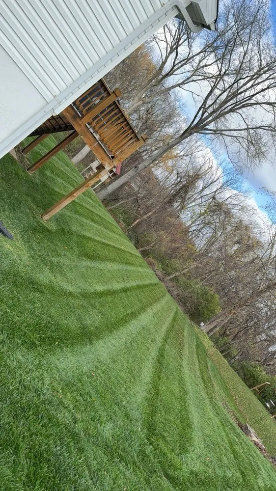 Expert yard cleanup service for outdoor upgrades in Saint Peters, MO by Jackson Lawn and Landscape
