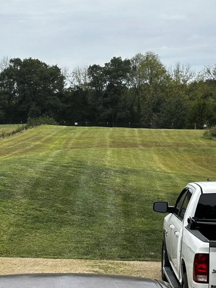 Top-rated yard maintenance for year-round maintenance in Nashville, TN by Jackson Lawn and Wash