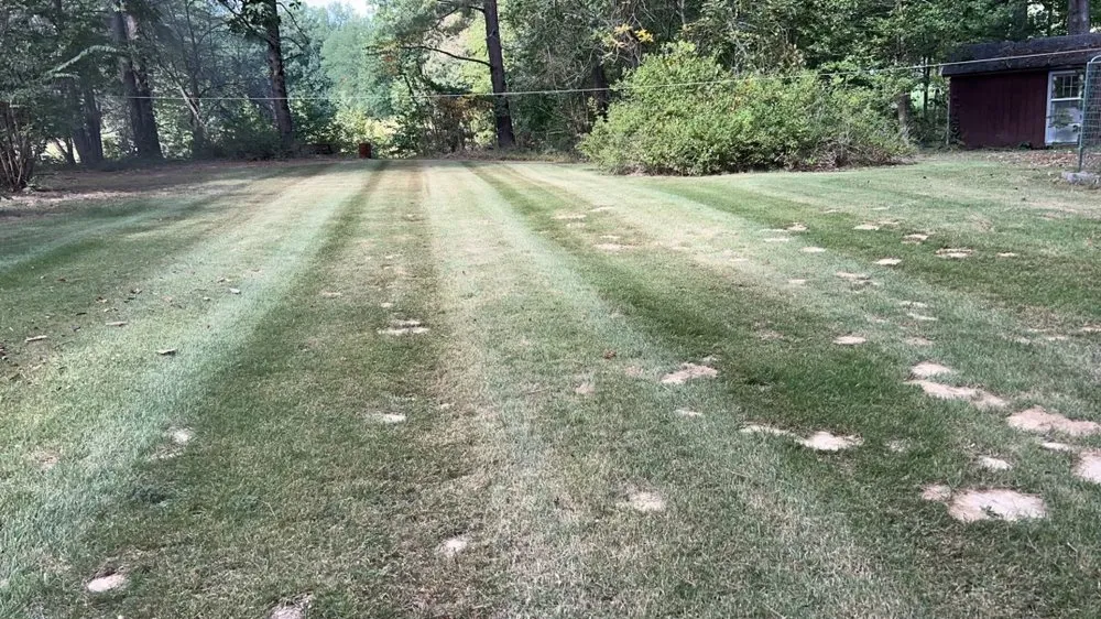 Trusted residential landscaping in Nashville, TN by Jackson Lawn and Wash