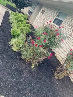 Reliable outdoor landscaping near you in Nashville, TN by Jackson Lawn and Wash