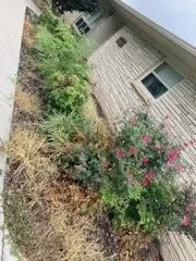 Affordable residential landscaping with custom design in Nashville, TN by Jackson Lawn and Wash