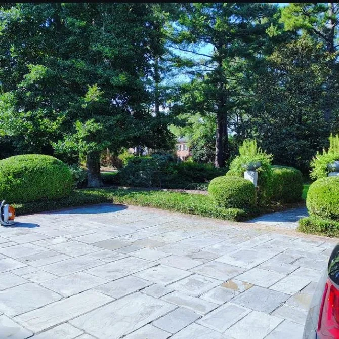 Expert outdoor landscaping near you in Columbia, SC by Jackson Lawn Care