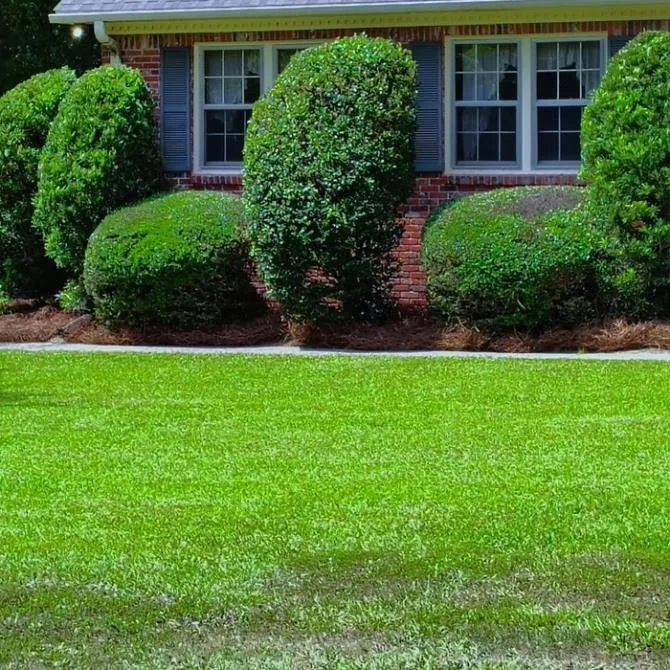 Top-rated lawn care service with custom design in Columbia, SC by Jackson Lawn Care