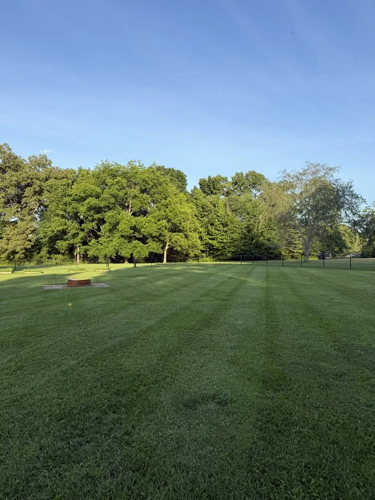 Local lawn care service for outdoor upgrades across Manchester, TN - Jackson Lawn Care
