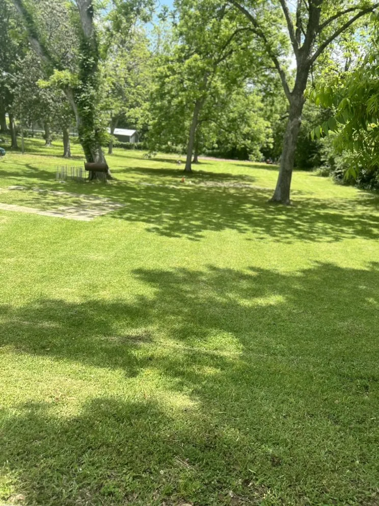 Top-rated residential landscaping for year-round maintenance across Monticello, MS - Jackson Lawn
