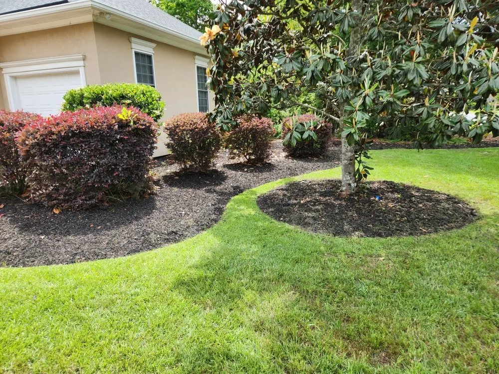 Trusted landscape installation experts serving Savannah, GA - Jackson Lawn Service