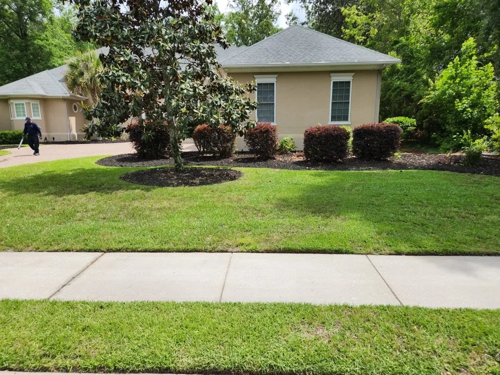 Affordable outdoor landscaping near you in Savannah, GA by Jackson Lawn Service