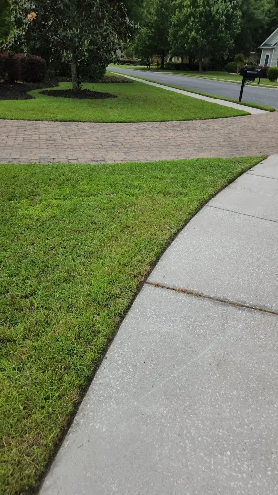 Reliable yard cleanup service in Savannah, GA by Jackson Lawn Service