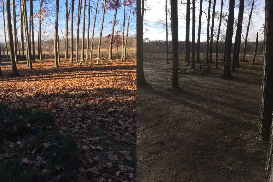 Expert yard maintenance in Grass Lake Charter Township, MI - Jackson Lawns