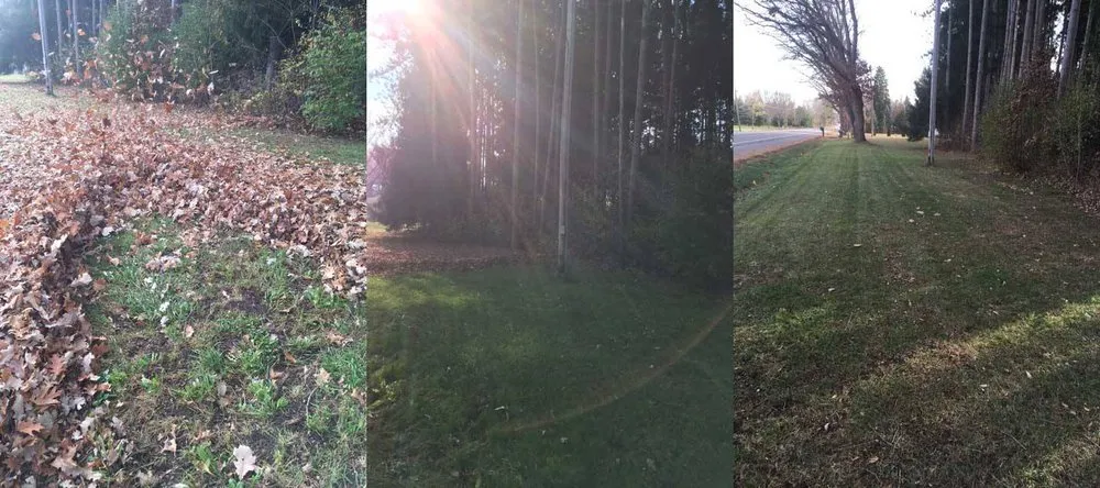 Professional lawn care service in Grass Lake Charter Township, MI by Jackson Lawns