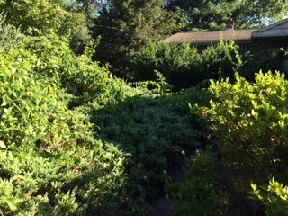 Custom lawn care service experts serving Brockton, MA - Jackson Maintenance and Landscape Design