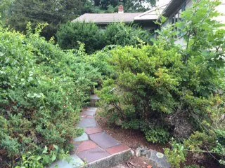 Expert lawn mowing service in Brockton, MA by Jackson Maintenance and Landscape Design