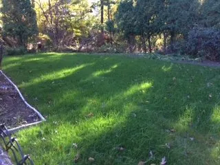 Top-rated landscape design for year-round maintenance in Brockton, MA by Jackson Maintenance and Landscape Design